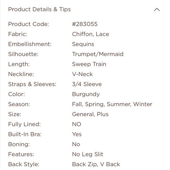 JJ’s House Mother of the Bride dress size 8. The dress is brand new, never worn. - Picture 2 of 4